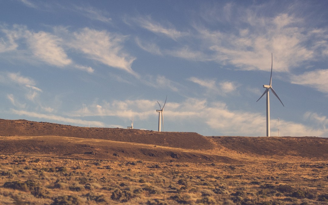 Krise auch im Sektor der Erneuerbaren Energien