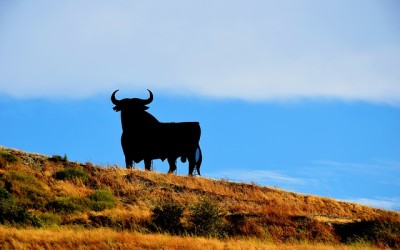 RED BULL gegen OSBORNE