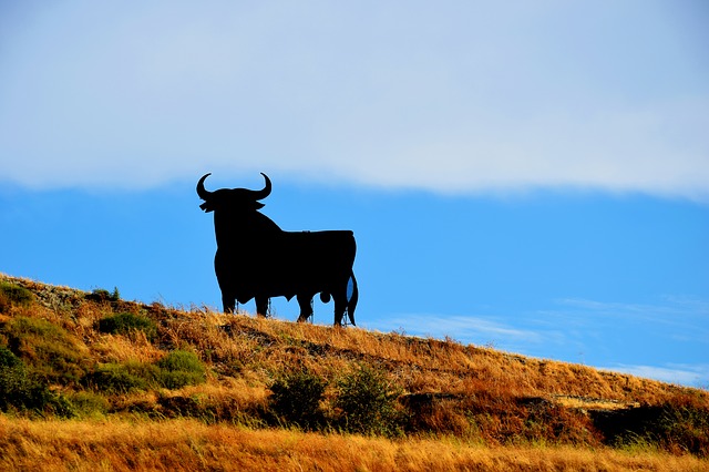 RED BULL gegen OSBORNE